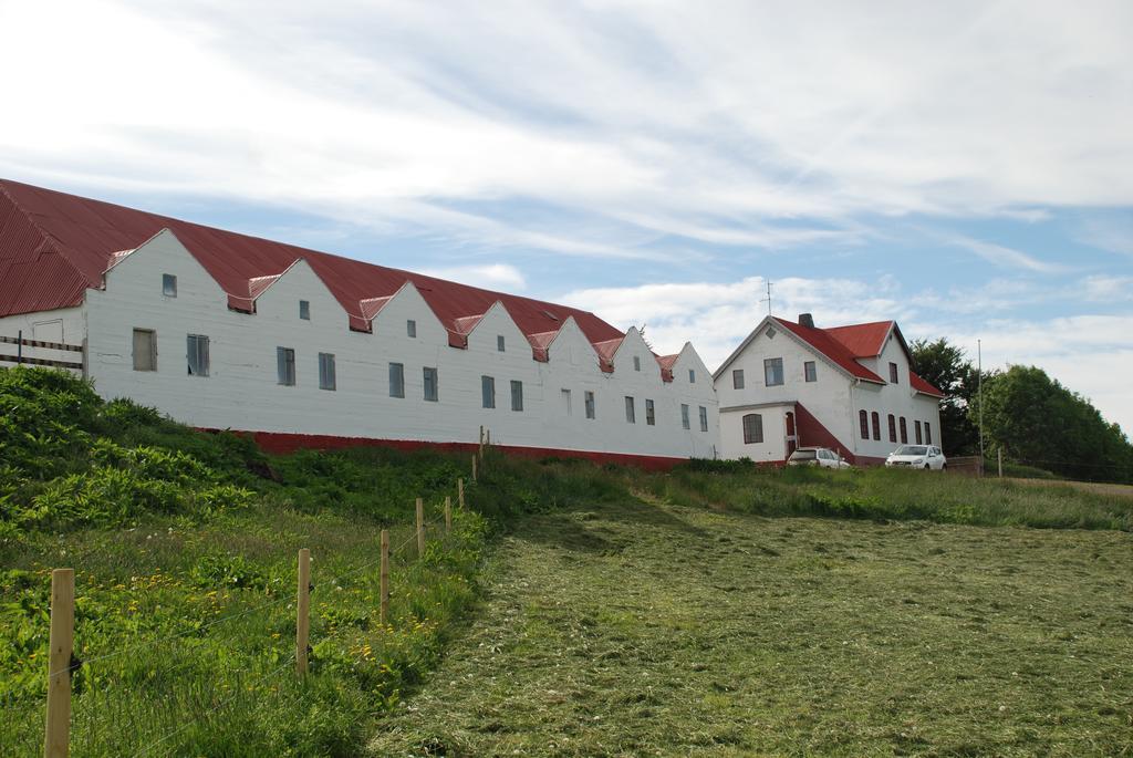 Saudarkrokur Helluland Guesthouse المظهر الخارجي الصورة